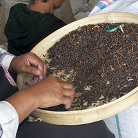 Photo de Bali - Autour de Munduk